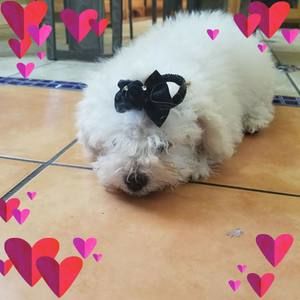 Meet your Posher, Jackie